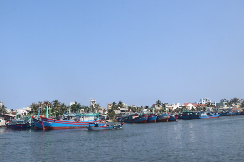 Bình Định sẽ di dời hơn 600 tàu thuyền khỏi thành phố