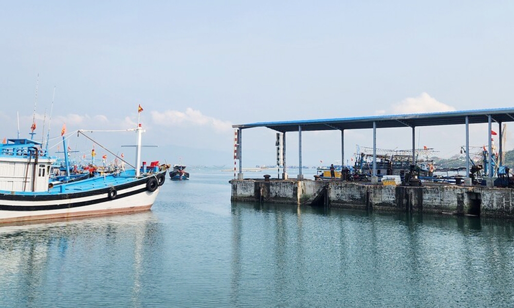 Bình Định: Hơn 95 tỷ đồng đầu tư kết cấu hạ tầng, dịch vụ hậu cần nghề cá