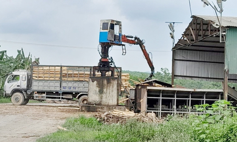 Thanh Hóa: Công ty TNHH Thanh Thành Đạt xây dựng và hoạt động trái phép xưởng chế biến gỗ keo nhiều năm