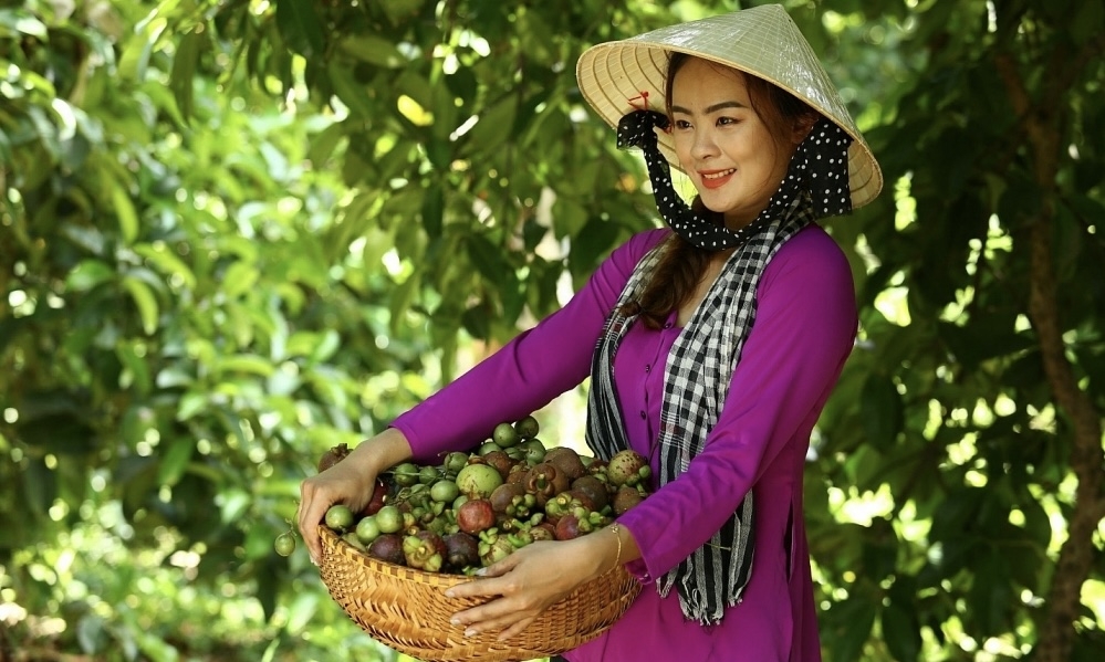 Lễ hội Mùa trái chín Bình Dương 2024: Khám phá thiên đường trái cây và văn hóa độc đáo