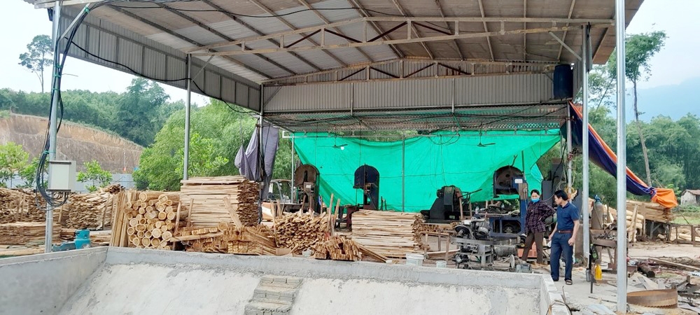Thanh Hóa: Yêu cầu làm rõ vụ san lấp, xây dựng và kinh doanh gỗ keo trái phép tại xã Hóa Quỳ