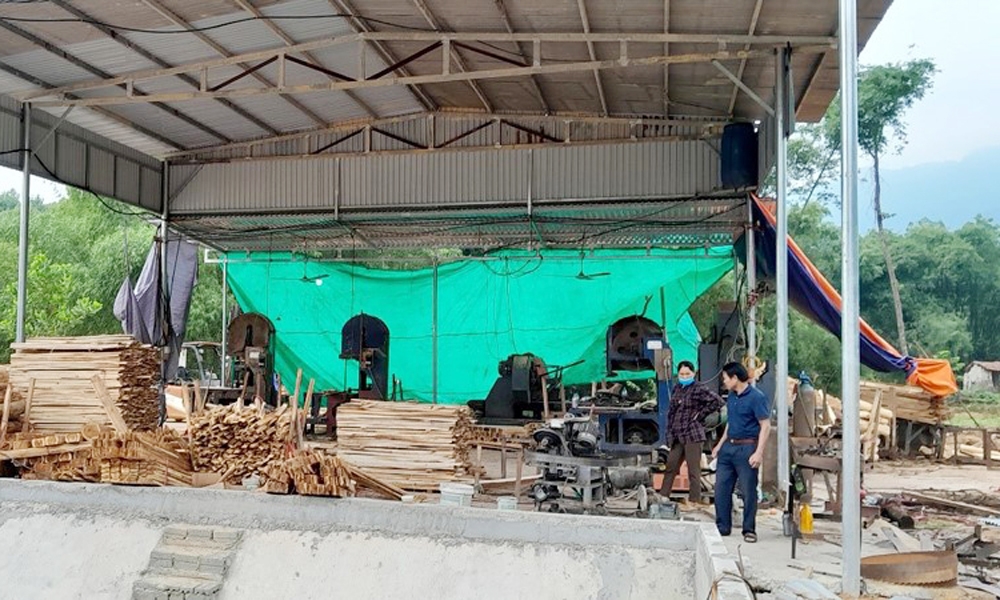 Thanh Hóa: Yêu cầu làm rõ vụ san lấp, xây dựng và kinh doanh gỗ keo trái phép tại xã Hóa Quỳ