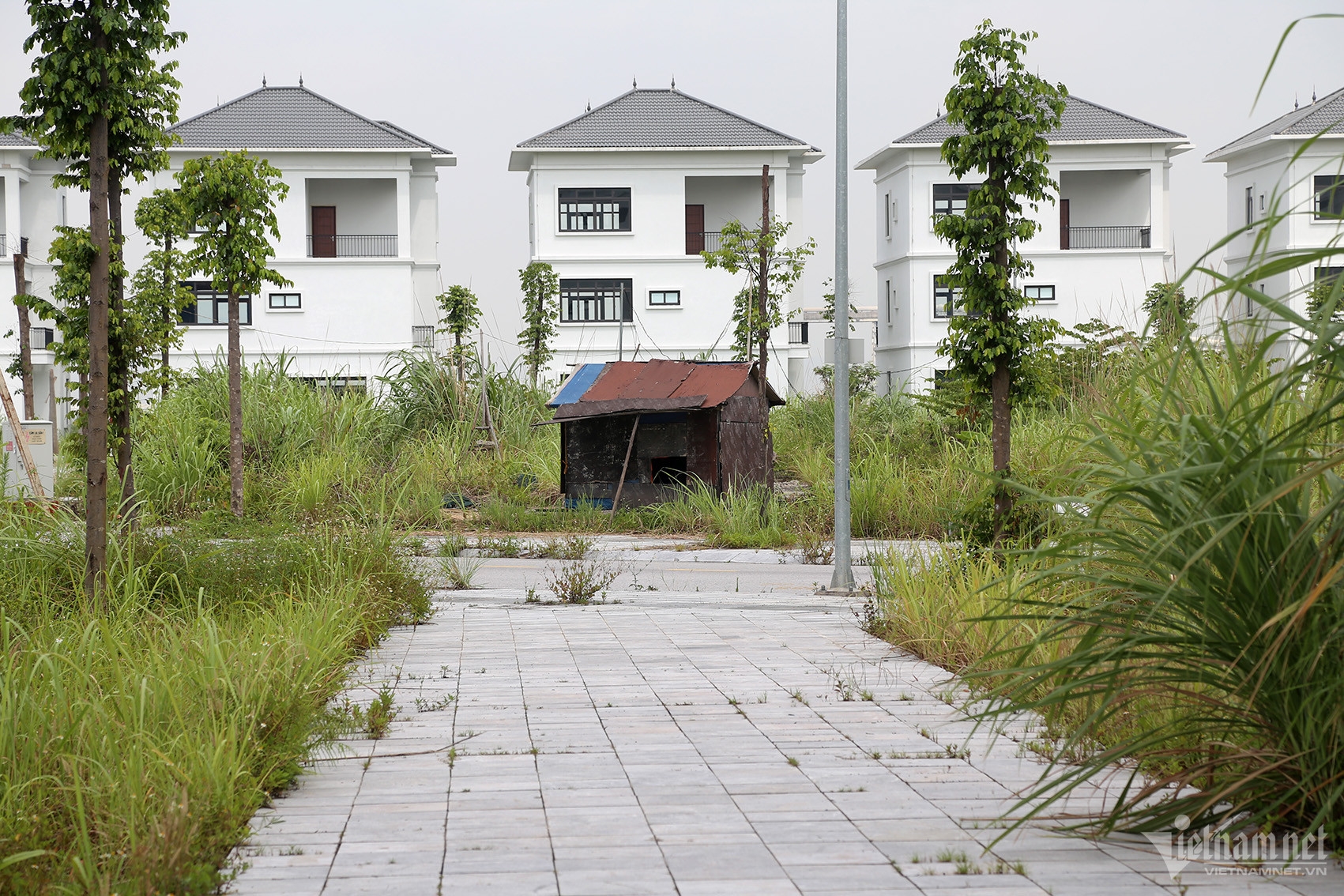 Loạt shophouse, biệt thự đắc địa ở Quảng Ninh vắng bóng người ở, cỏ dại um tùm