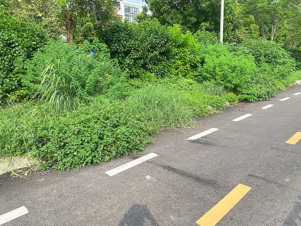 Hà Nội: Các tuyến đường dành cho người đi bộ và xe đạp đã cải thiện nhưng còn nhiều vấn đề