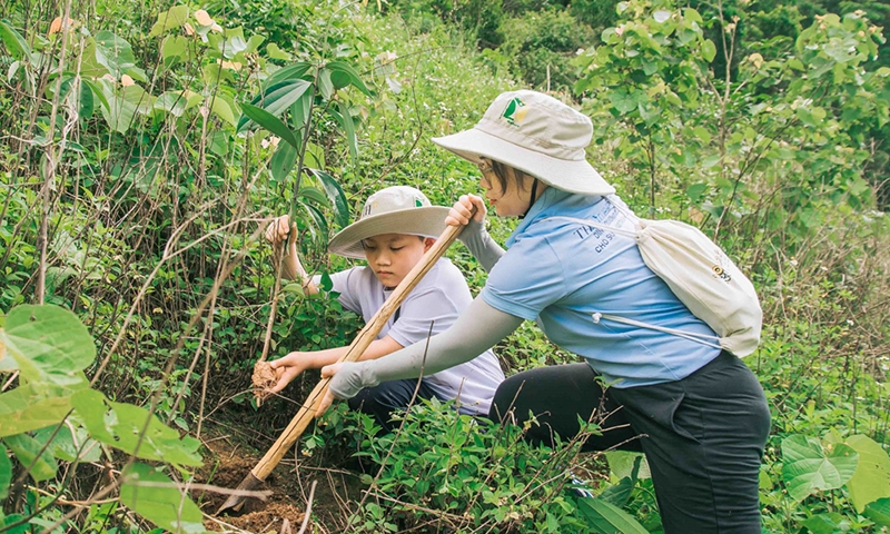 Chung tay phục hồi 25ha rừng ở Hòa Bình và Sơn La