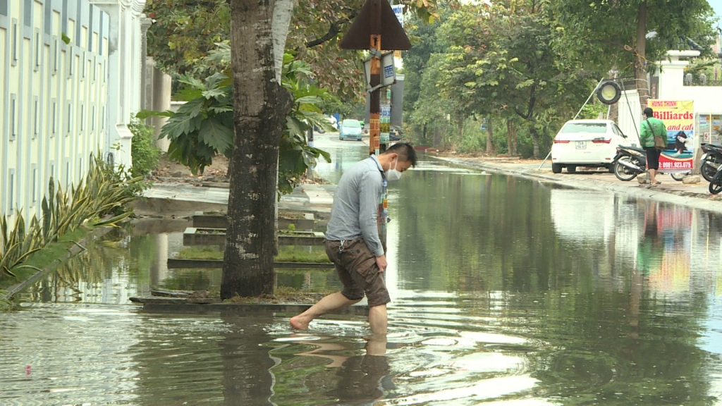 Hạ Long: Triển khai phương án thi công chống ngập lụt cho Khu đô thị lấn biển Vựng Đâng