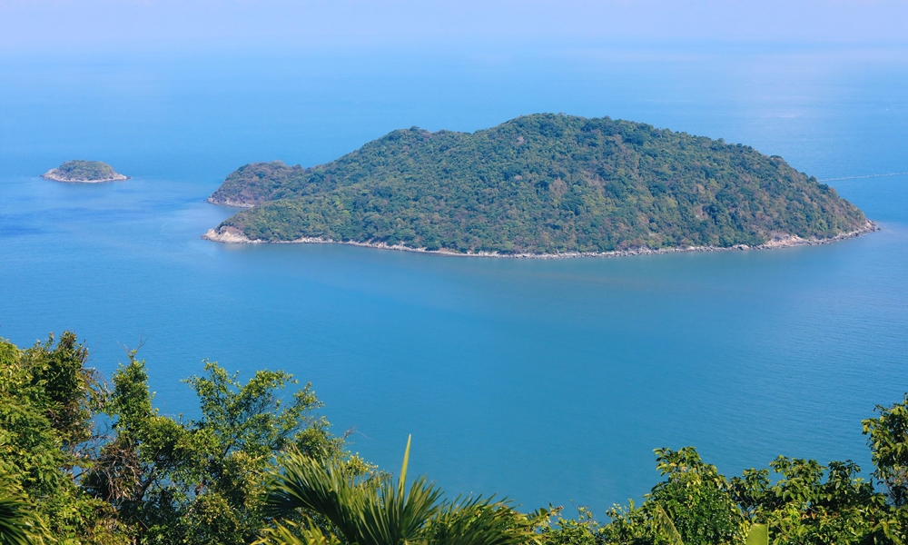 Cà Mau: Thành lập khu bảo tồn biển 27.000ha