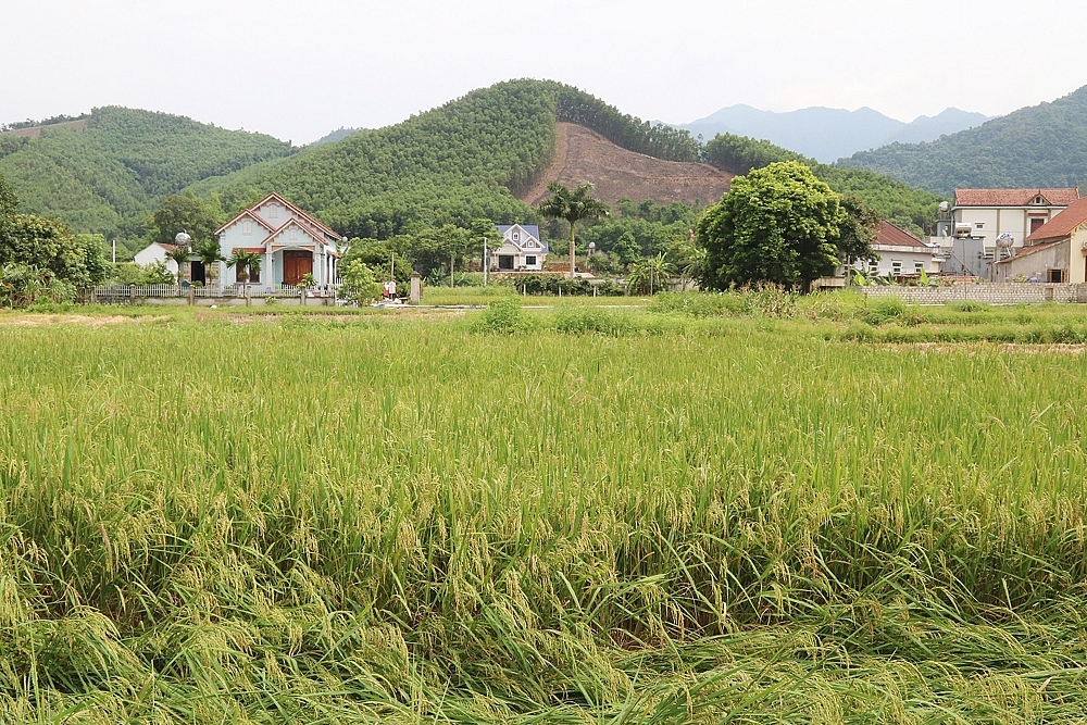 Hạ Long: Xã Vũ Oai đổi mới diện mạo nông thôn mới