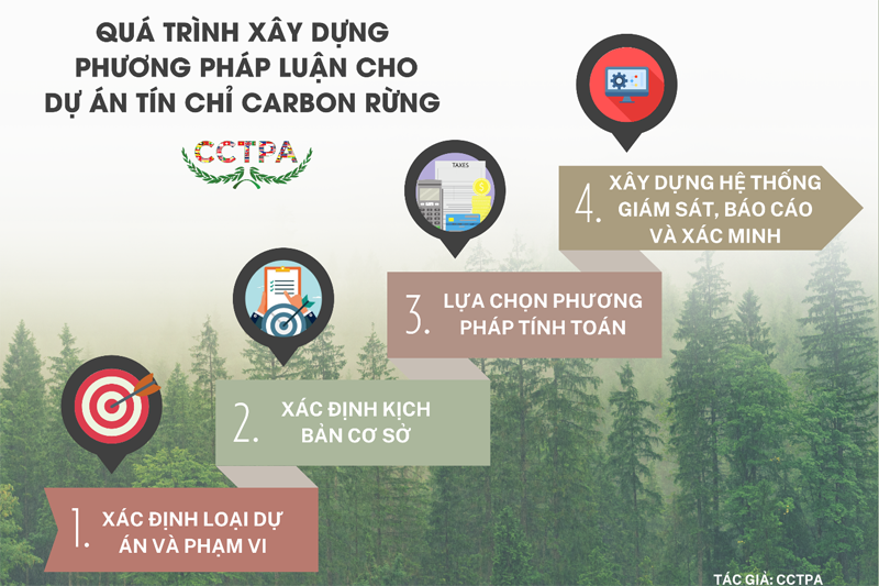 Phương pháp luận và các yếu tố then chốt để phát triển dự án tín chỉ carbon rừng
