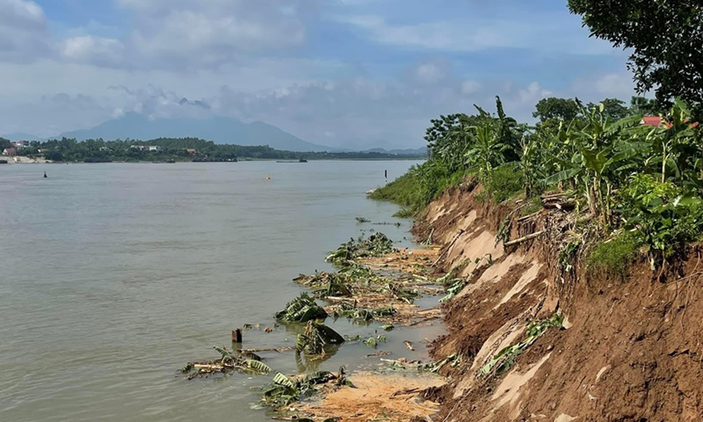 Phú Thọ: Đầu tư 14,5 tỷ đồng kè khẩn cấp khu vực sạt lở bờ sông Đà