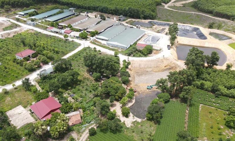 Hà Tĩnh: Người dân bức xúc vì trang trại nuôi lợn gây ô nhiễm nguồn nước