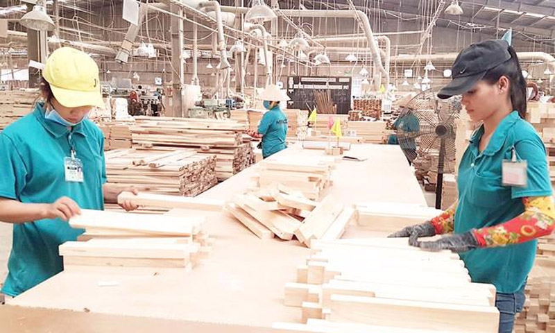 Định hướng phát triển bền vững để tăng đơn hàng xuất khẩu gỗ