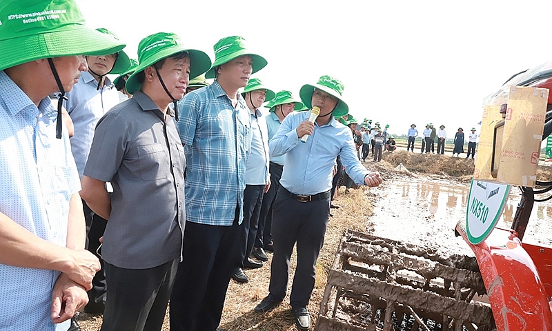 Bắc Ninh: Kinh tế nông thôn khởi sắc nhờ chương trình OCOP và xây dựng nông thôn mới