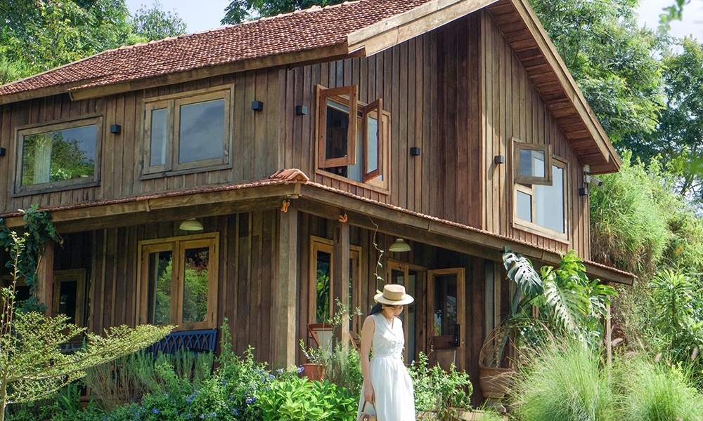 Cặp đôi dành 6 tháng biến đất hoang thành ngôi nhà gỗ đẹp như cổ tích ở Lâm Đồng