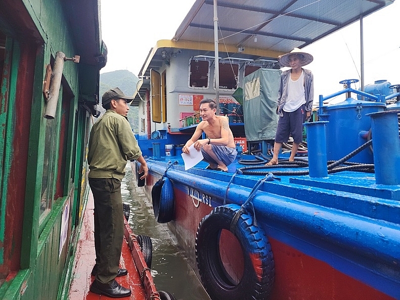 TP Hạ Long (Quảng Ninh): Chủ động ứng phó với bão số 2