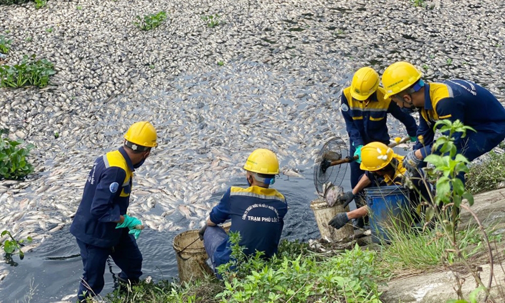 Đà Nẵng: Cá chết tại hồ Hòa Phú do nước thải từ mương hở thượng nguồn bãi rác đổ về
