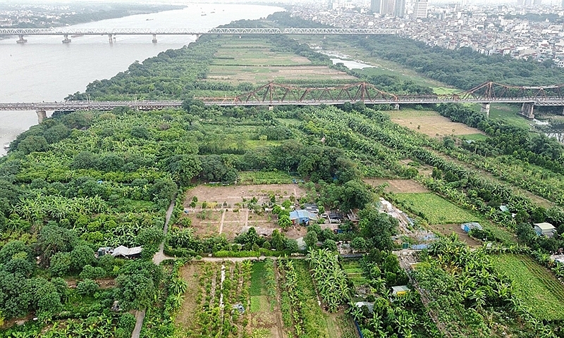 Bãi bồi giữa sông Hồng - Có thể trở thành không gian sáng tạo đặc thù: Công viên nông nghiệp đô thị của Hà Nội?