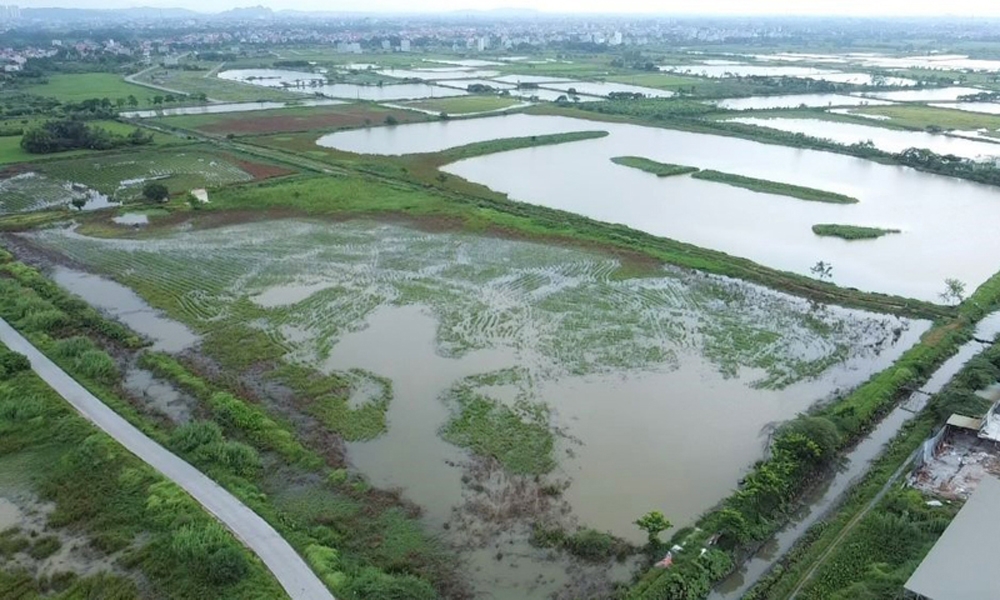 Hà Nội: Điều chỉnh, bổ sung Kế hoạch sử dụng đất năm 2024 quận Hà Đông