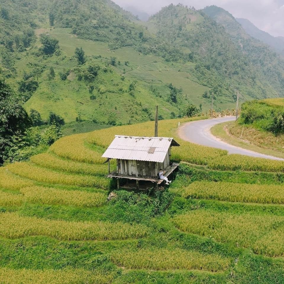 Vẻ đẹp siêu thực của Sa Pa mùa lúa xanh