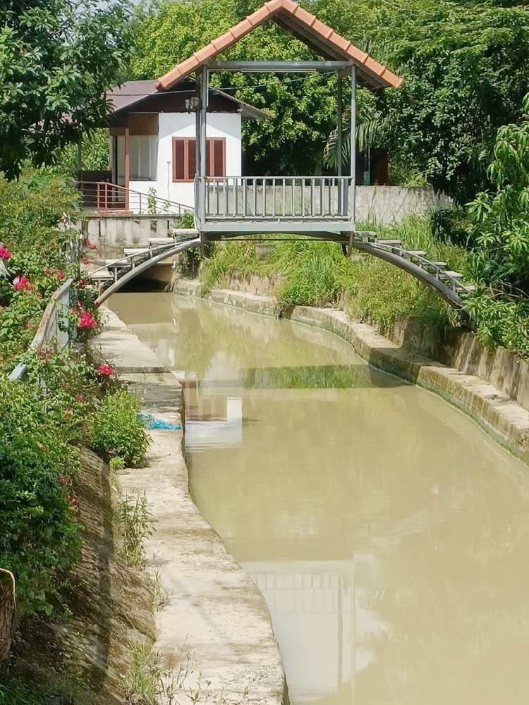 Đồng Nai: Sẽ kiểm tra, xử lý nghiêm vụ xây dựng biệt thự “khủng” trái phép trên đất nông nghiệp