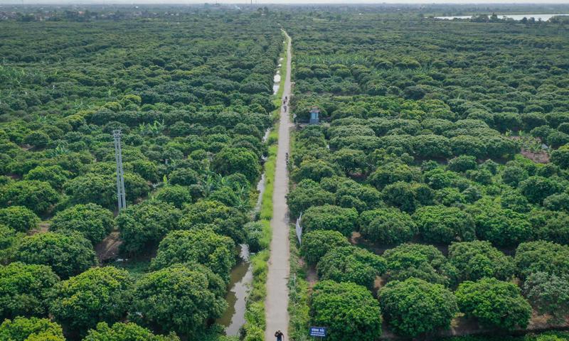 Thanh Hà - vùng đất giàu tiềm năng trên bản đồ bất động sản Hải Dương