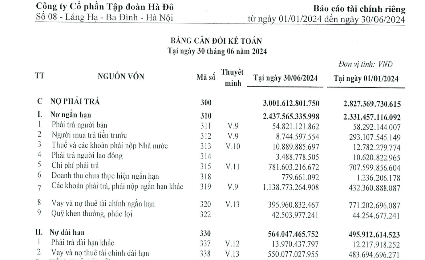 Tập đoàn Hà Đô: Lợi nhuận sụt giảm, nợ phải trả vượt mức 3 nghìn tỷ đồng