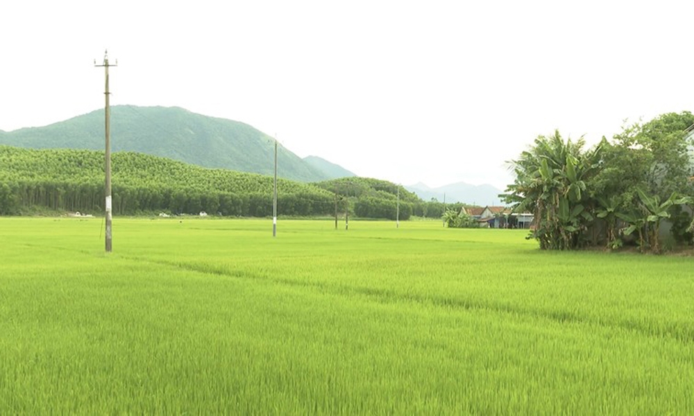 Phú Yên: Hoàn thiện hạ tầng lưới điện góp phần xây dựng nông thôn mới