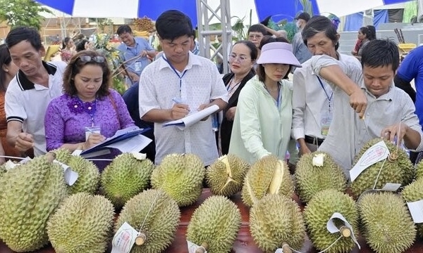 Khai mạc Lễ hội trái cây Khánh Sơn lần thứ III năm 2024