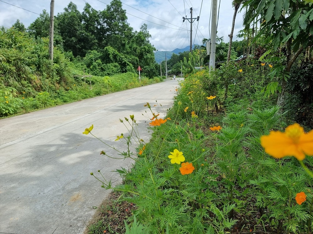 Quảng Ninh: Xã Vũ Oai đường làng hoa nở thêm nét đẹp nông thôn mới