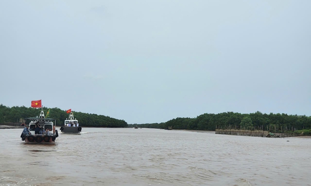 Thái Bình: 12.500ha Khu bảo tồn thiên nhiên đất ngập nước Tiền Hải được giữ nguyên trạng