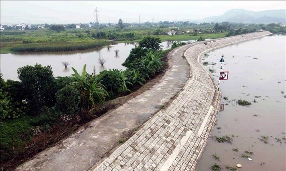 Bắc Ninh: Đấu thầu công khai, tăng cường tu bổ đê điều chống lụt bão