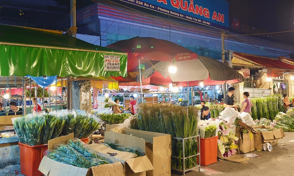 Hà Nội: Tiểu thương “vừa mừng vừa lo” khi chợ hoa Quảng An sẽ trở thành điểm du lịch đêm