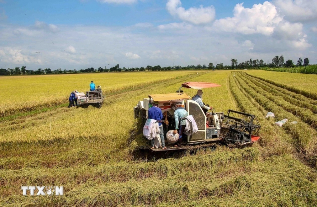 79 năm Bác Hồ đọc Tuyên ngôn Độc lập: Giữ vững lời thề lịch sử