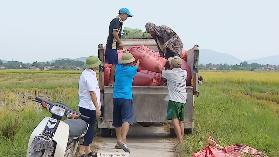 Thanh Hóa: Khẩn trương ứng phó bão số 3