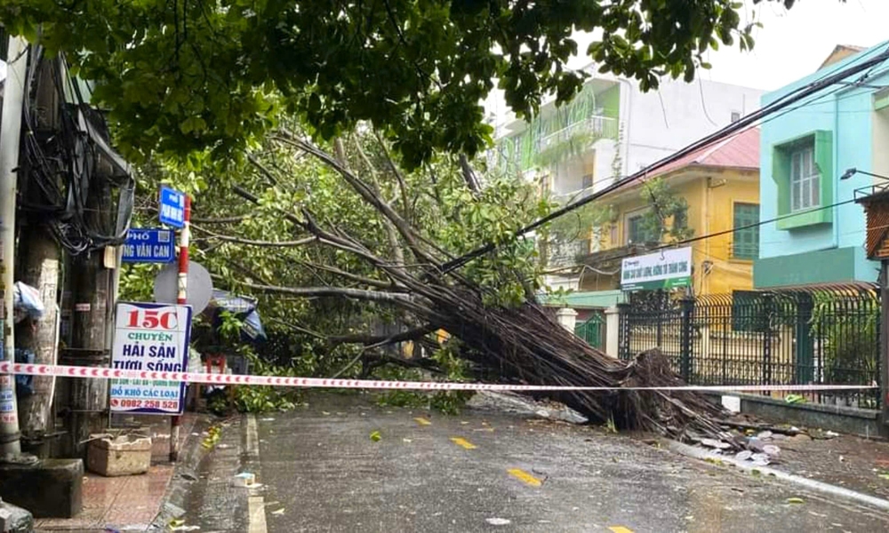 Hải Phòng: Khuyến cáo người dân không ra khỏi nhà để tránh rủi ro thiên tai