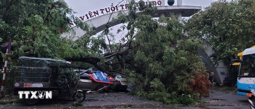 Bí thư Thành ủy Hà Nội: Khẩn trương giúp người dân ảnh hưởng bão số 3 vượt khó