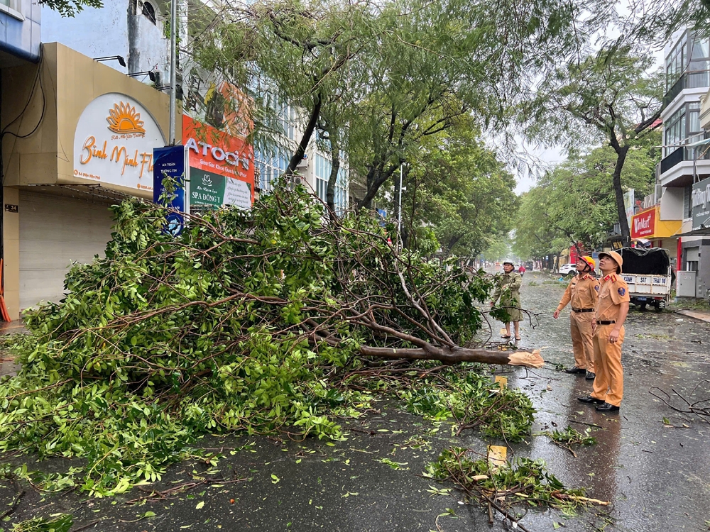 Hải Phòng: Thiệt hại nặng nề do bão Yagi