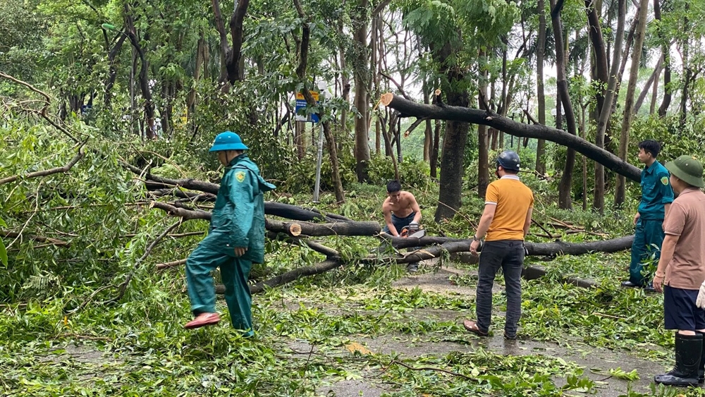 Hoàng Mai (Hà Nội): Người dân xuống đường dọn dẹp “tàn tích” sau siêu bão Yagi