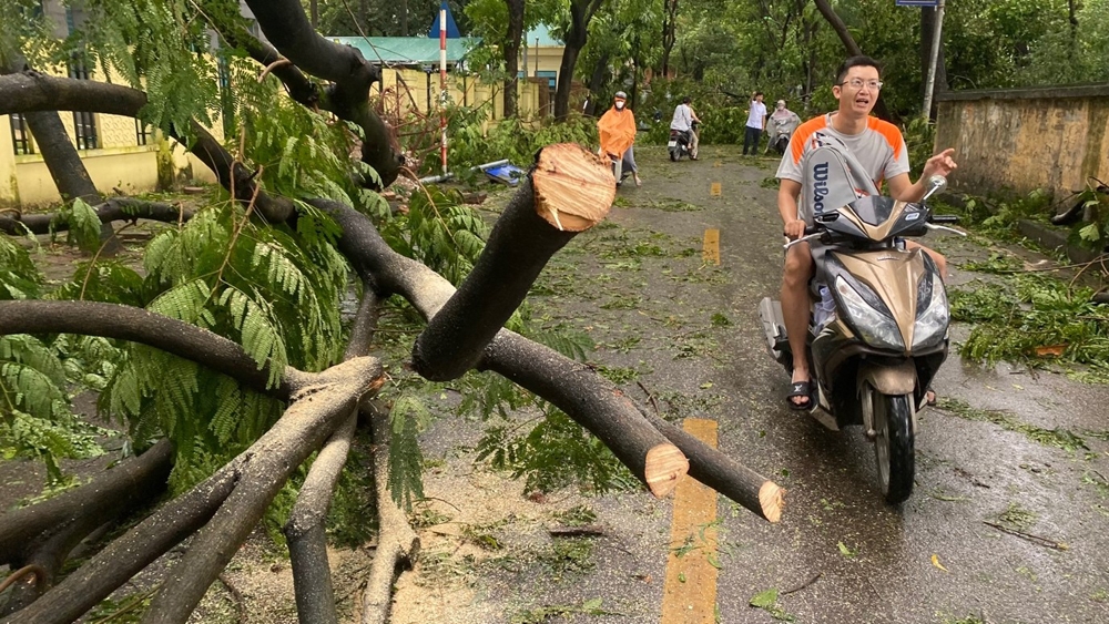 Hoàng Mai (Hà Nội): Người dân xuống đường dọn dẹp “tàn tích” sau siêu bão Yagi