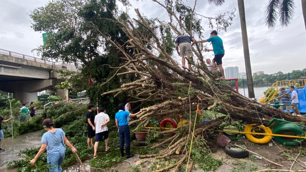 Hoàng Mai (Hà Nội): Người dân xuống đường dọn dẹp “tàn tích” sau siêu bão Yagi