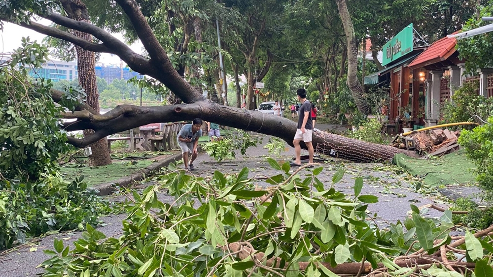 Hoàng Mai (Hà Nội): Người dân xuống đường dọn dẹp “tàn tích” sau siêu bão Yagi