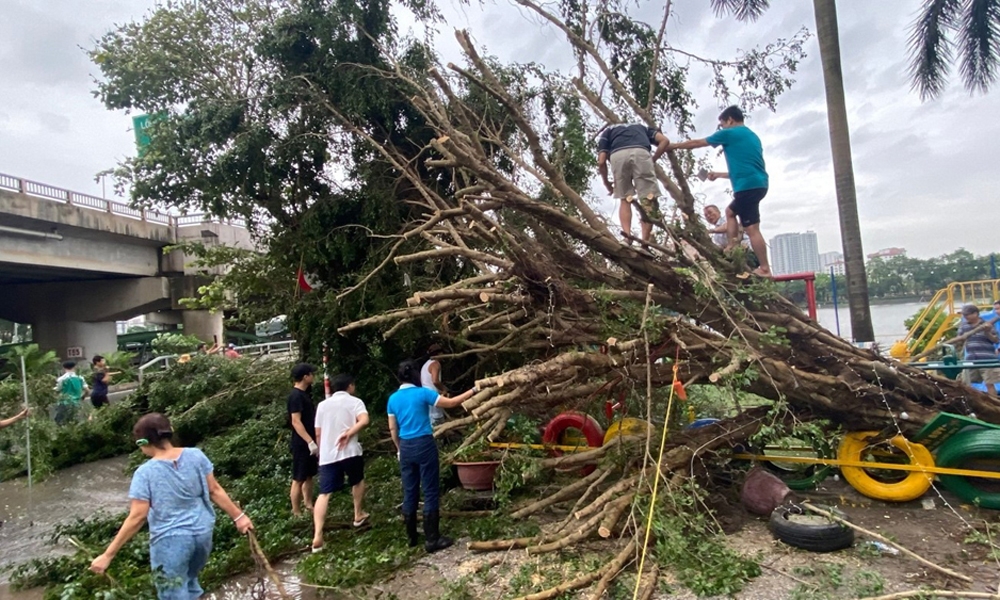 Hà Nội: Tập trung triển khai các biện pháp khắc phục, giải tỏa cây xanh gãy, đổ sau cơn bão số 3