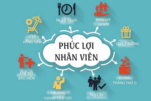 5 thông tin cần tìm hiểu kỹ trước khi nộp hồ sơ xin việc