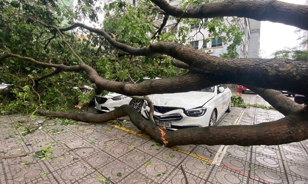 Bộ Tài chính: Doanh nghiệp bảo hiểm thực hiện ngay tạm ứng bồi thường sau bão