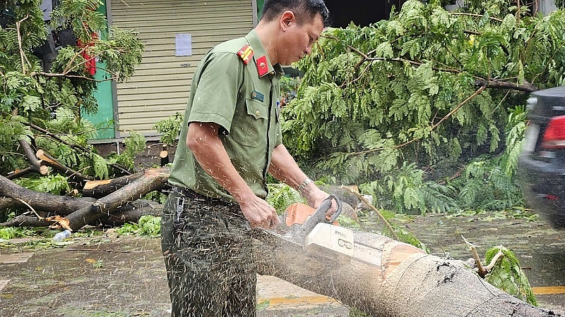 Hai Bà Trưng (Hà Nội): Tập trung khắc phục hậu quả sau bão