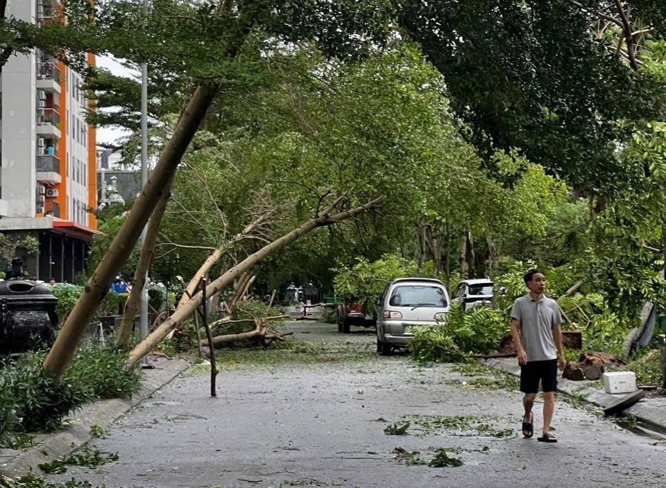 Hà Đông (Hà Nội): Tích cực, chủ động khắc phục hậu quả bão số 3