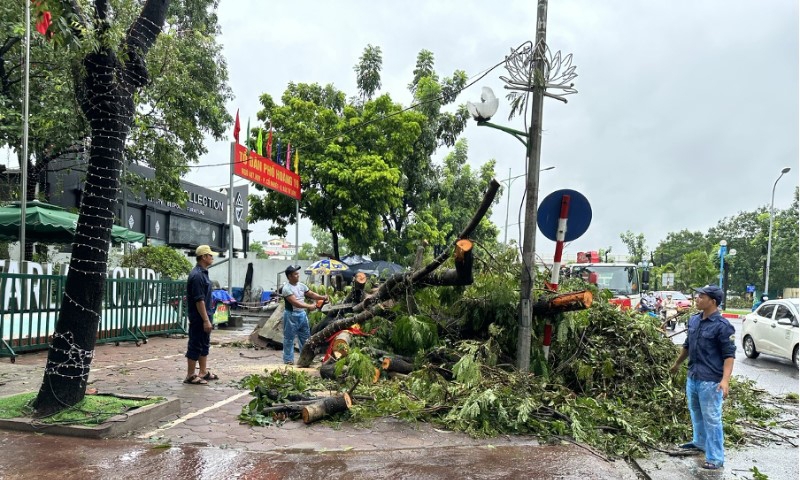 Hà Nội: Quận Cầu Giấy huy động tối đa nguồn lực khắc phục sau bão Yagi