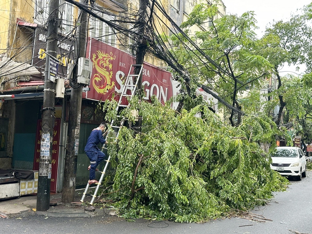 Hà Nội: Quận Cầu Giấy huy động tối đa nguồn lực khắc phục sau bão Yagi