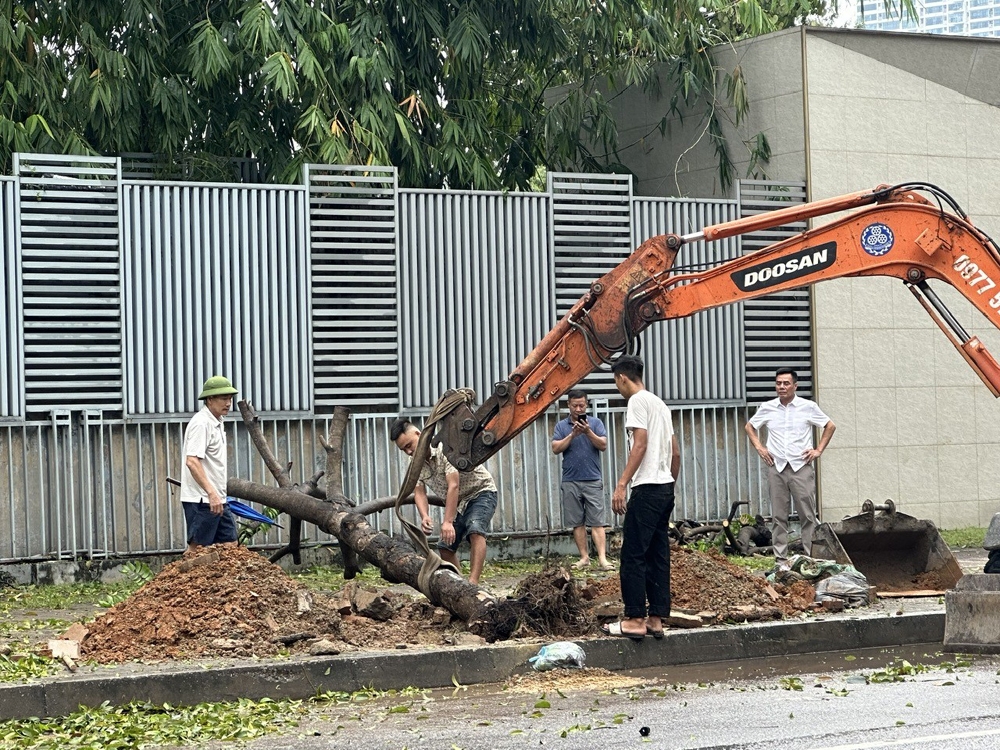 Hà Nội: Quận Cầu Giấy huy động tối đa nguồn lực khắc phục sau bão Yagi