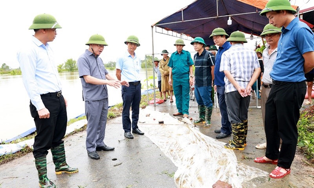 Bắc Giang: Kiểm tra công tác đê điều tại khu vực đê bối sông Thương